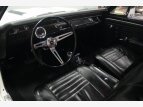 Thumbnail Photo 43 for 1967 Chevrolet Chevelle SS